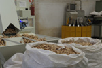Sugherificio Caputo srl a Tempio Pausania